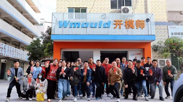 profil wmould Shenzhen Datong Precision Metal (2)